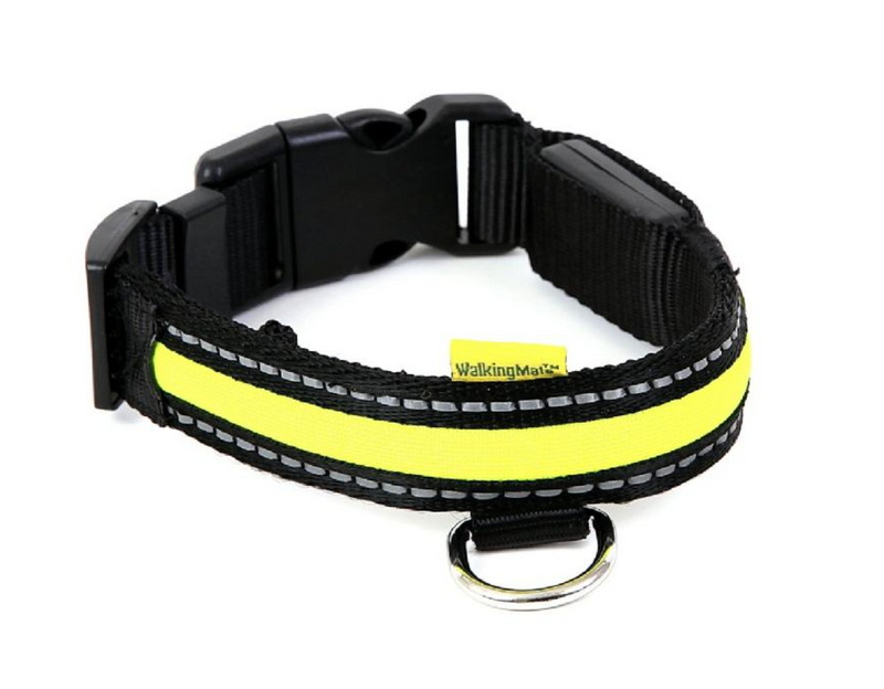 LED Light Up Safety Collar 25mm