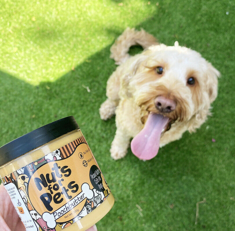 Nuts for Pets Poochbutter, Peanut Butter for Dogs, 100% Natural, Made in UK 300g