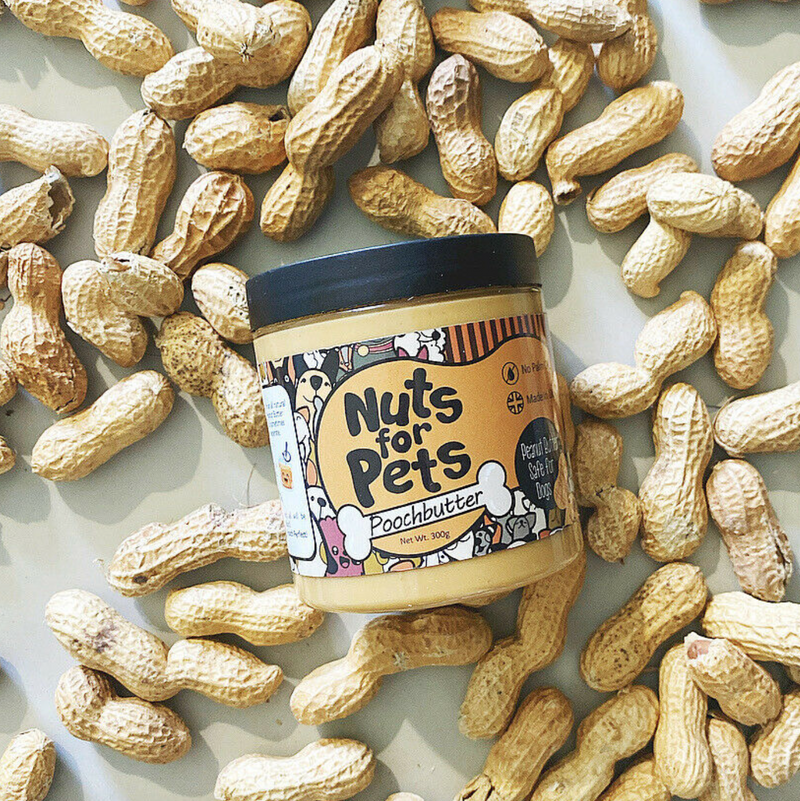 Nuts for Pets Poochbutter, Peanut Butter for Dogs, 100% Natural, Made in UK 300g