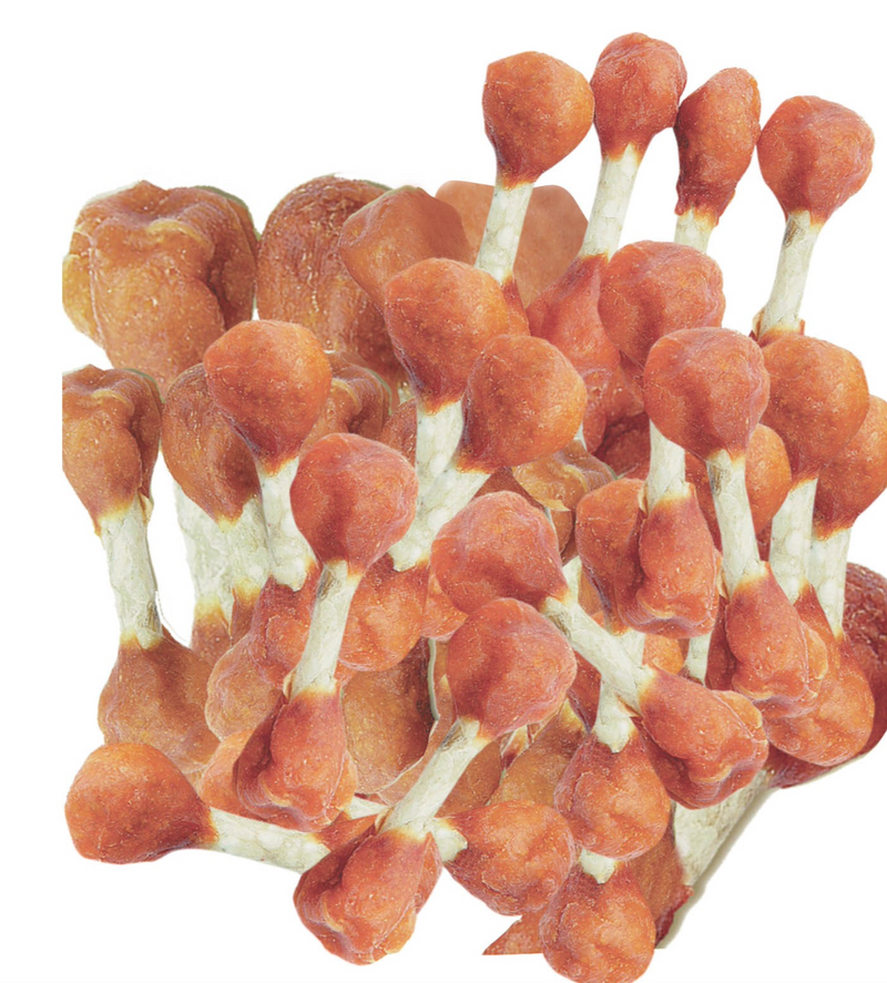 Pet Munchies Chicken and Rawhide Dumbbells 80g