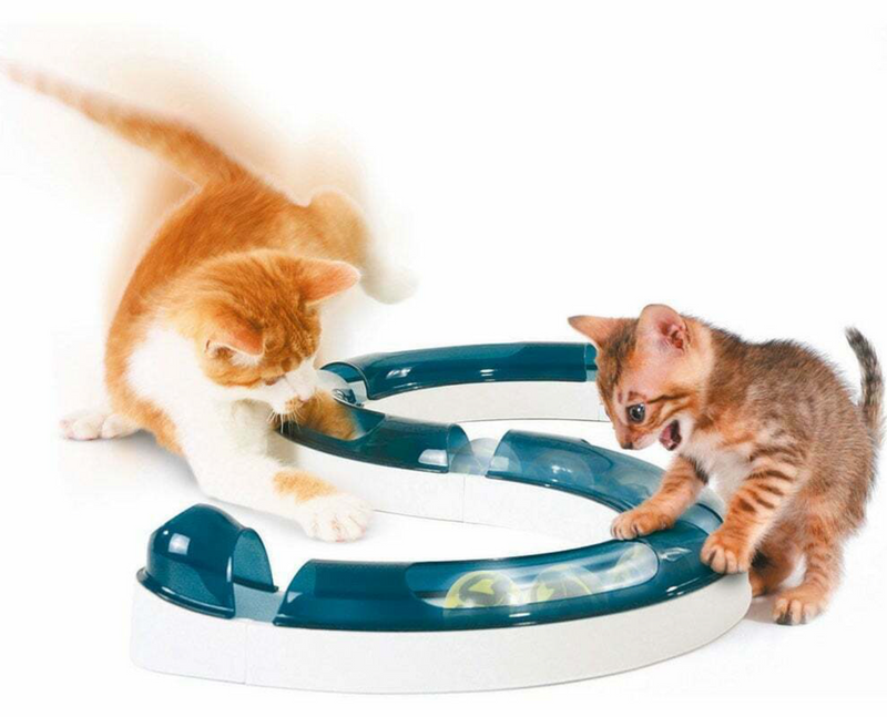 Catit Senses Play Circuit for Cats
