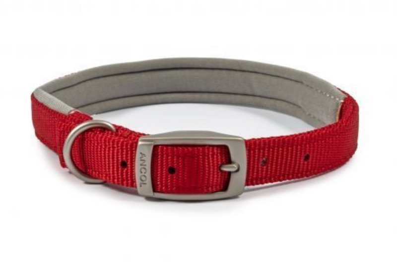 Ancol Viva Red Padded Buckle Collar