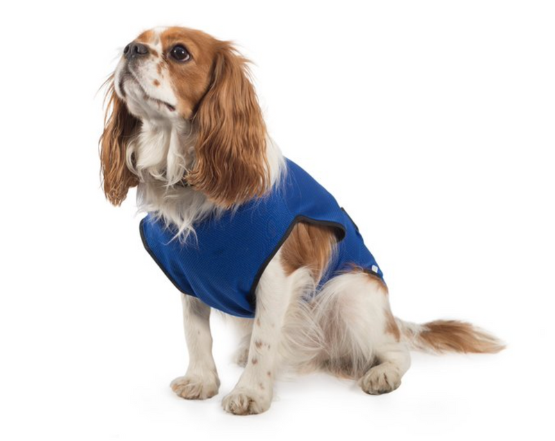 Ancol Cooling Dog Vest - Large 50cm - 80cm