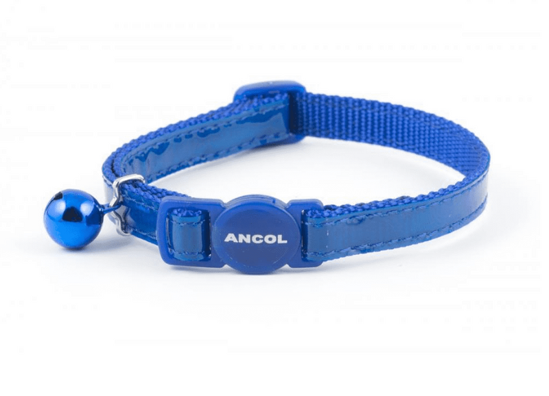 Ancol Cat Collar Gloss Reflective Blue, 20-30cm