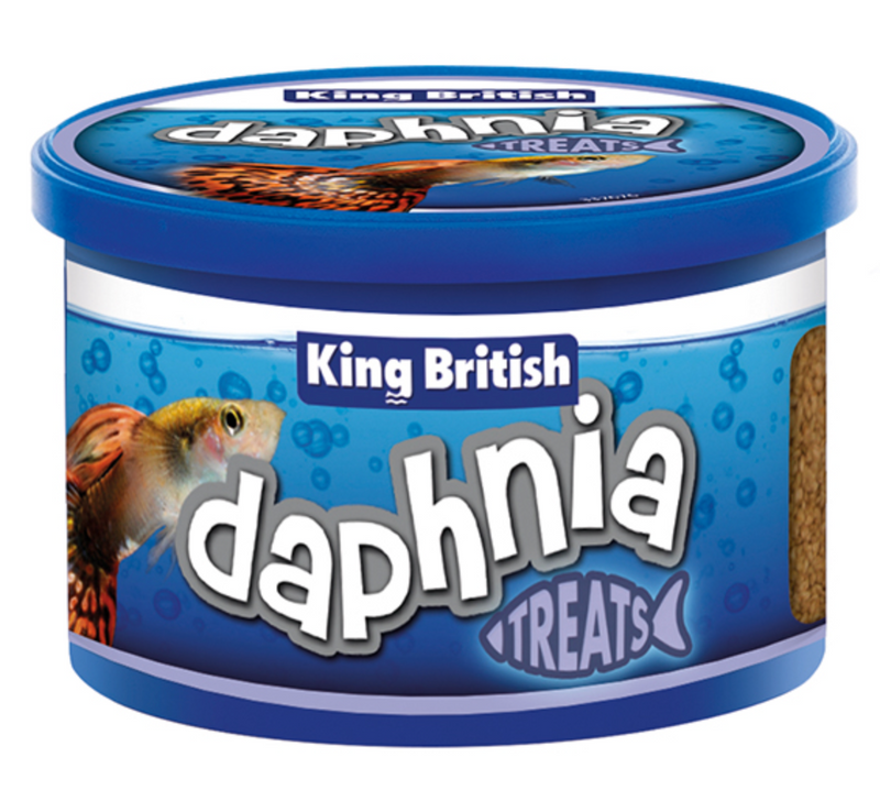 King British Daphnia Treats 18g