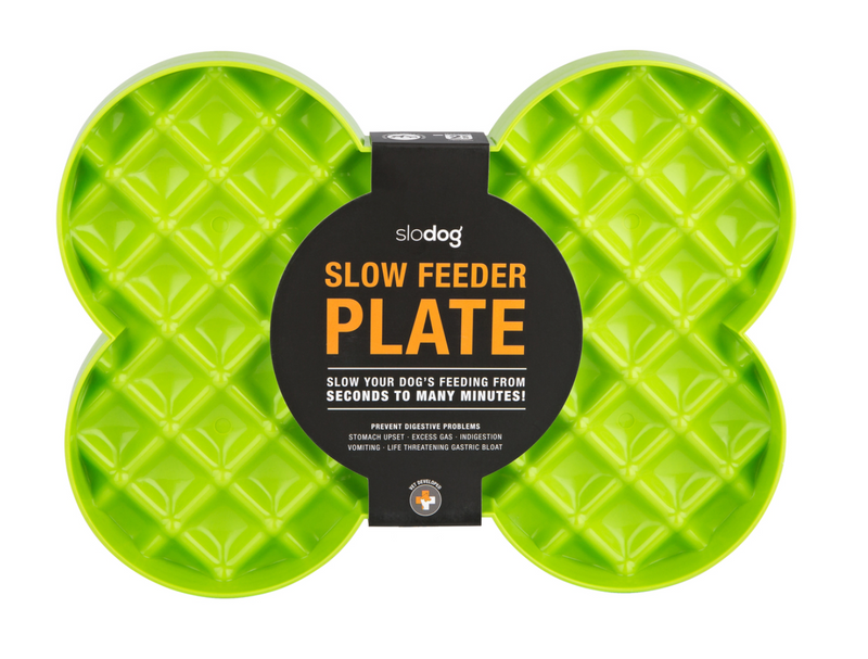 Dog Slow Feeder Plate