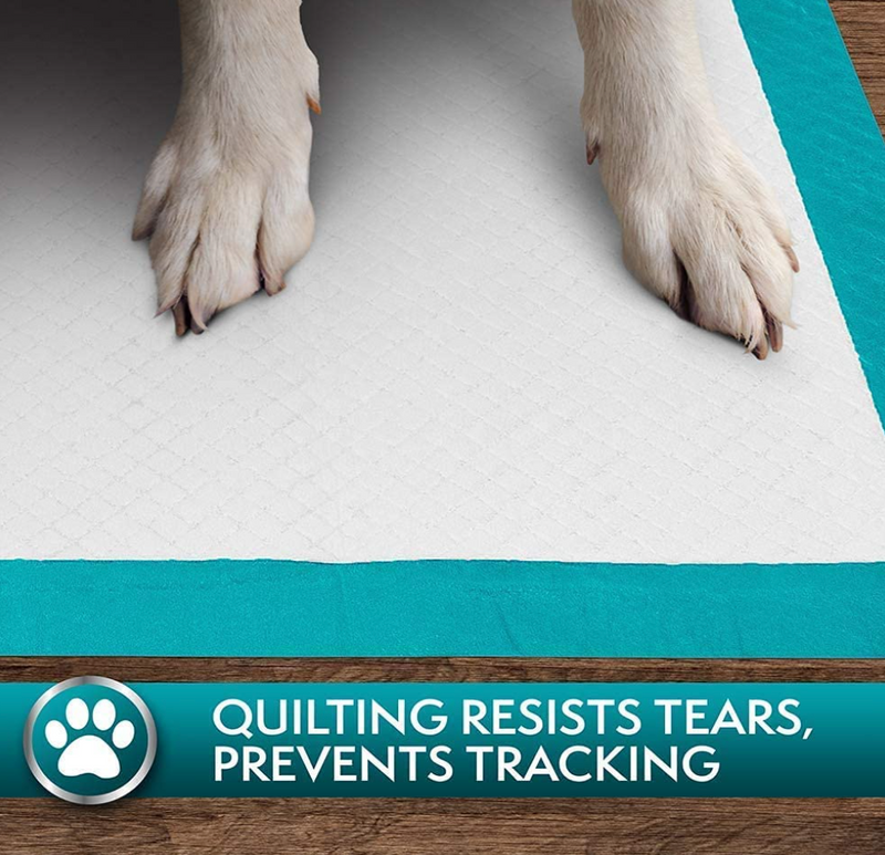 Simple Solution Puppy Training Pads, 100pads