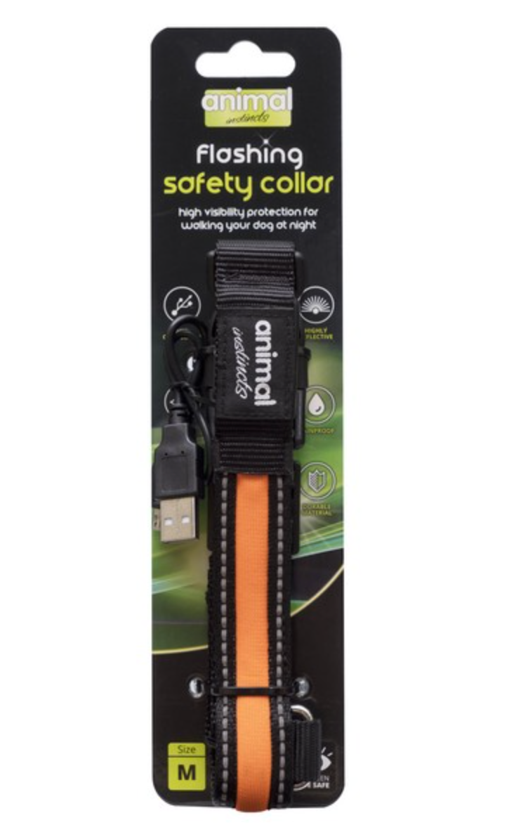 Flashing Safety Collar (Assorted Colours)