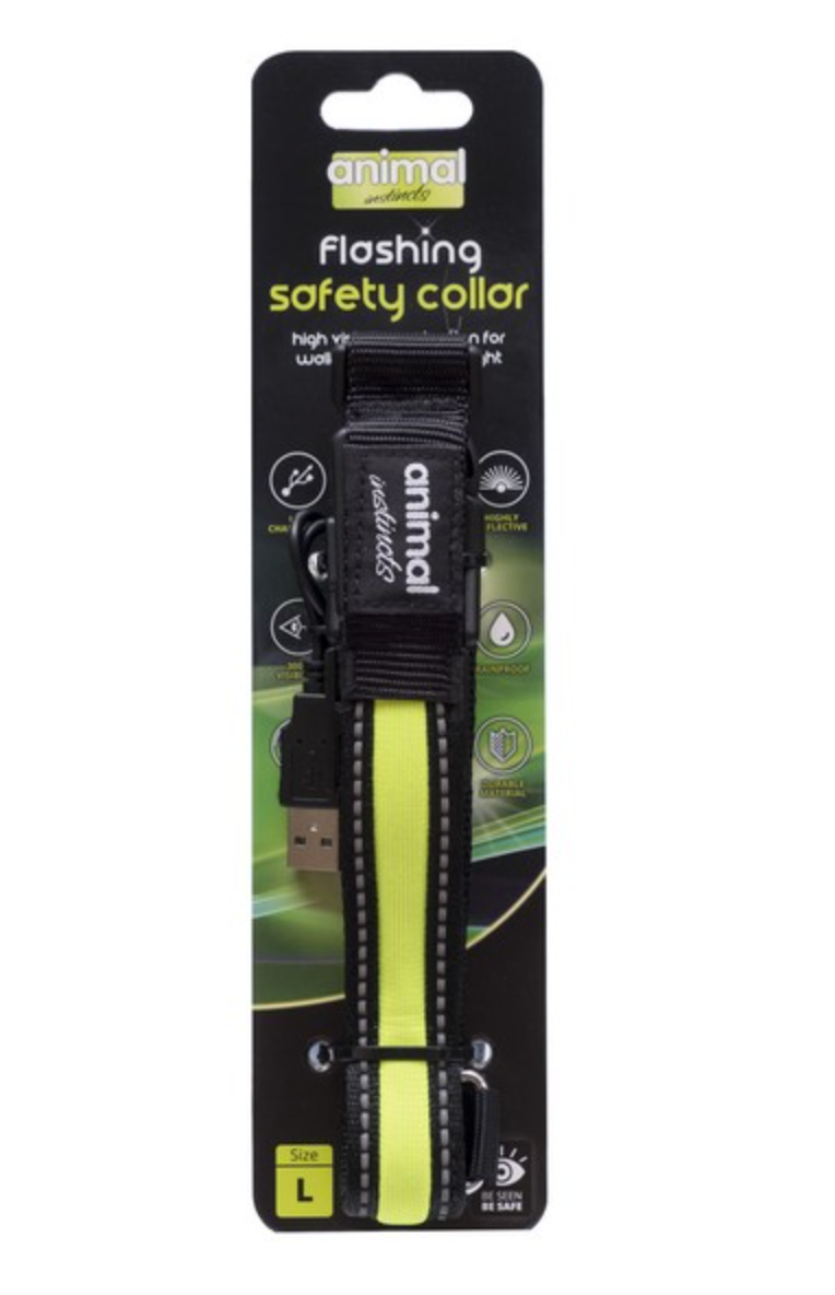 Flashing Safety Collar (Assorted Colours)